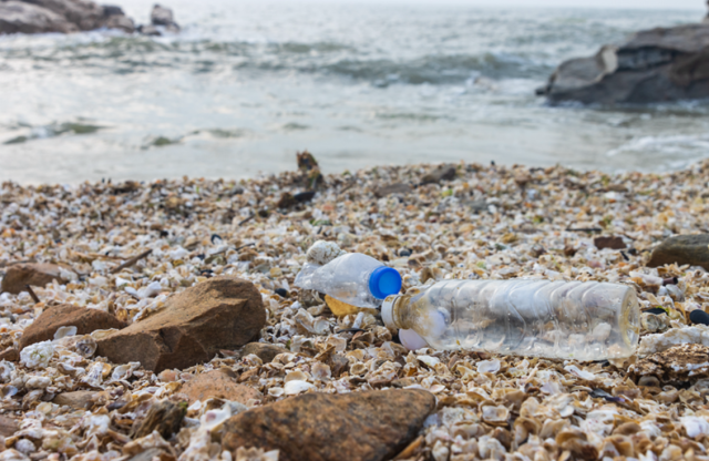 英媒：海滩上塑料颗粒数量创爱游